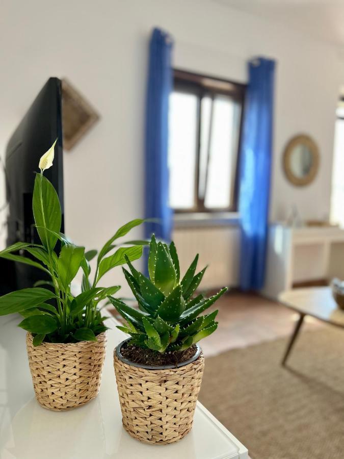 Sea Breeze House Daire Fiumicino Dış mekan fotoğraf